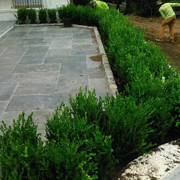 New landscape bed and paver patio with irrigation installed