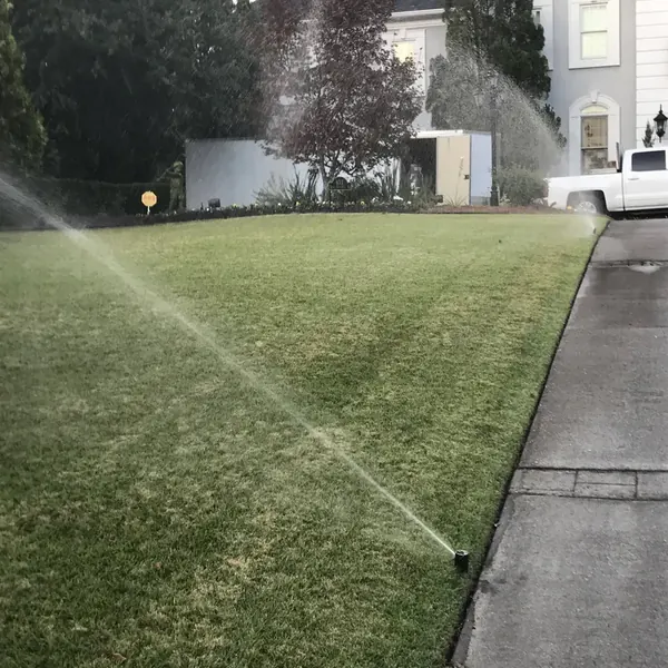Sprinkler head watering a green front lawn