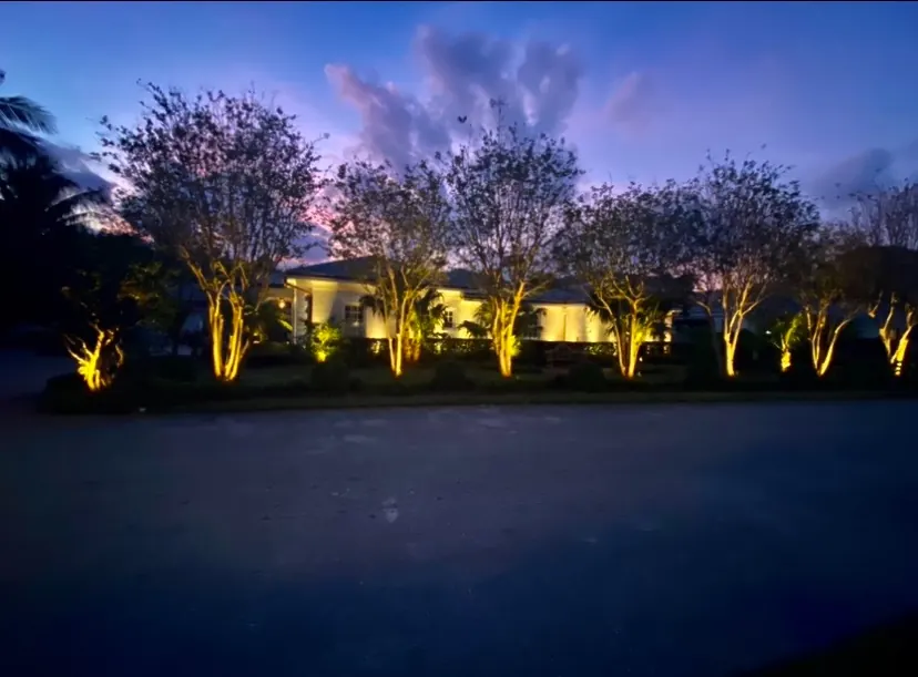 Low-voltage lighting across a landscaped home