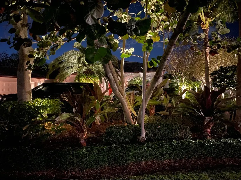 Illuminated landscaping along a home