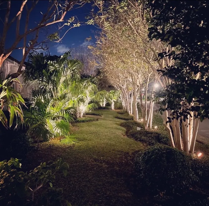 Landscape lighting adding depth to a garden at night