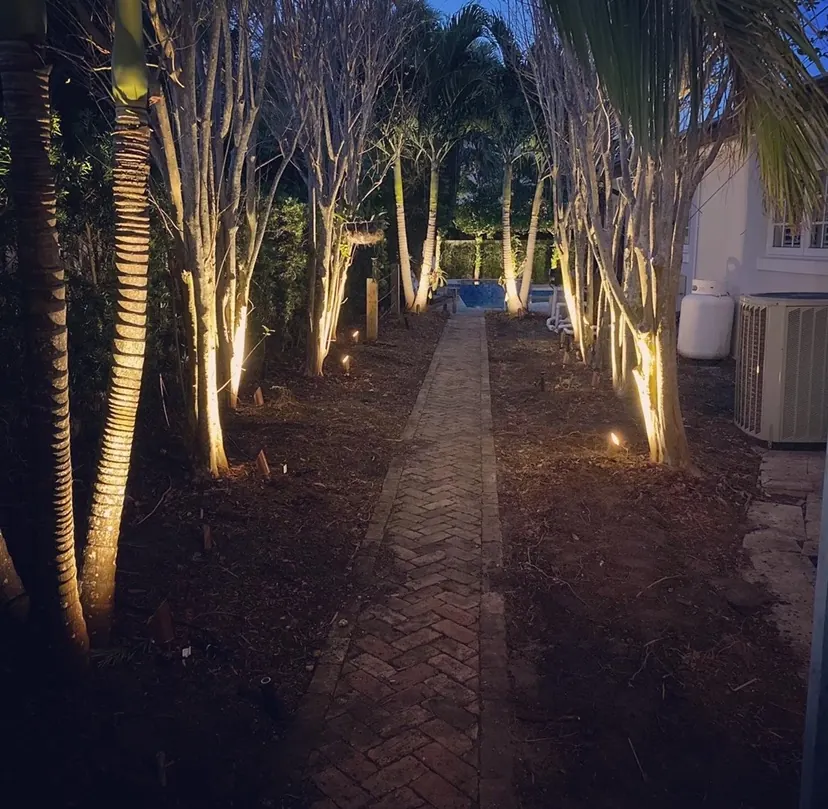 Warm outdoor lights highlighting palms and landscaping