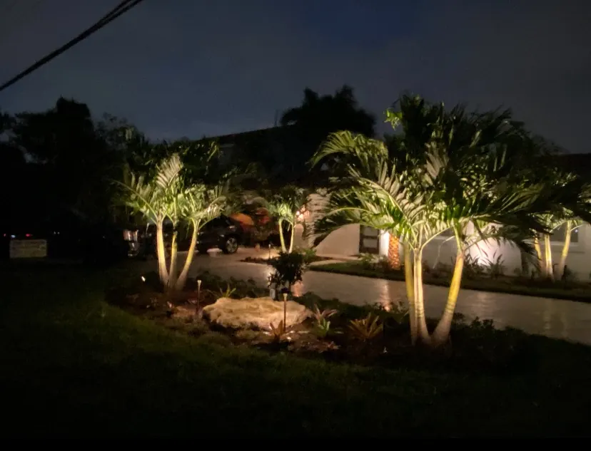 Palm trees uplit at night beside a single-family home
