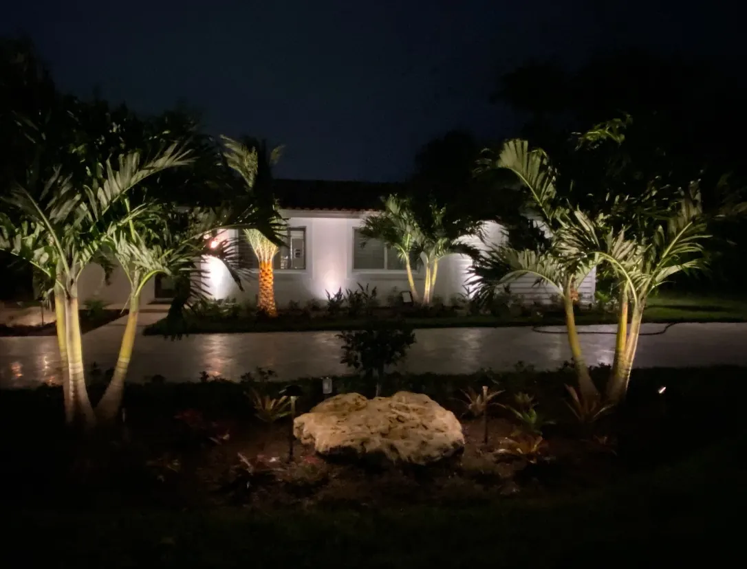Landscape lighting across a tropical front yard at night