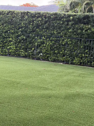 Customer photo of a healthy green lawn from a Sunshine Sprinkler Systems Google review