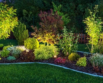 Landscape lighting illuminating a garden at night